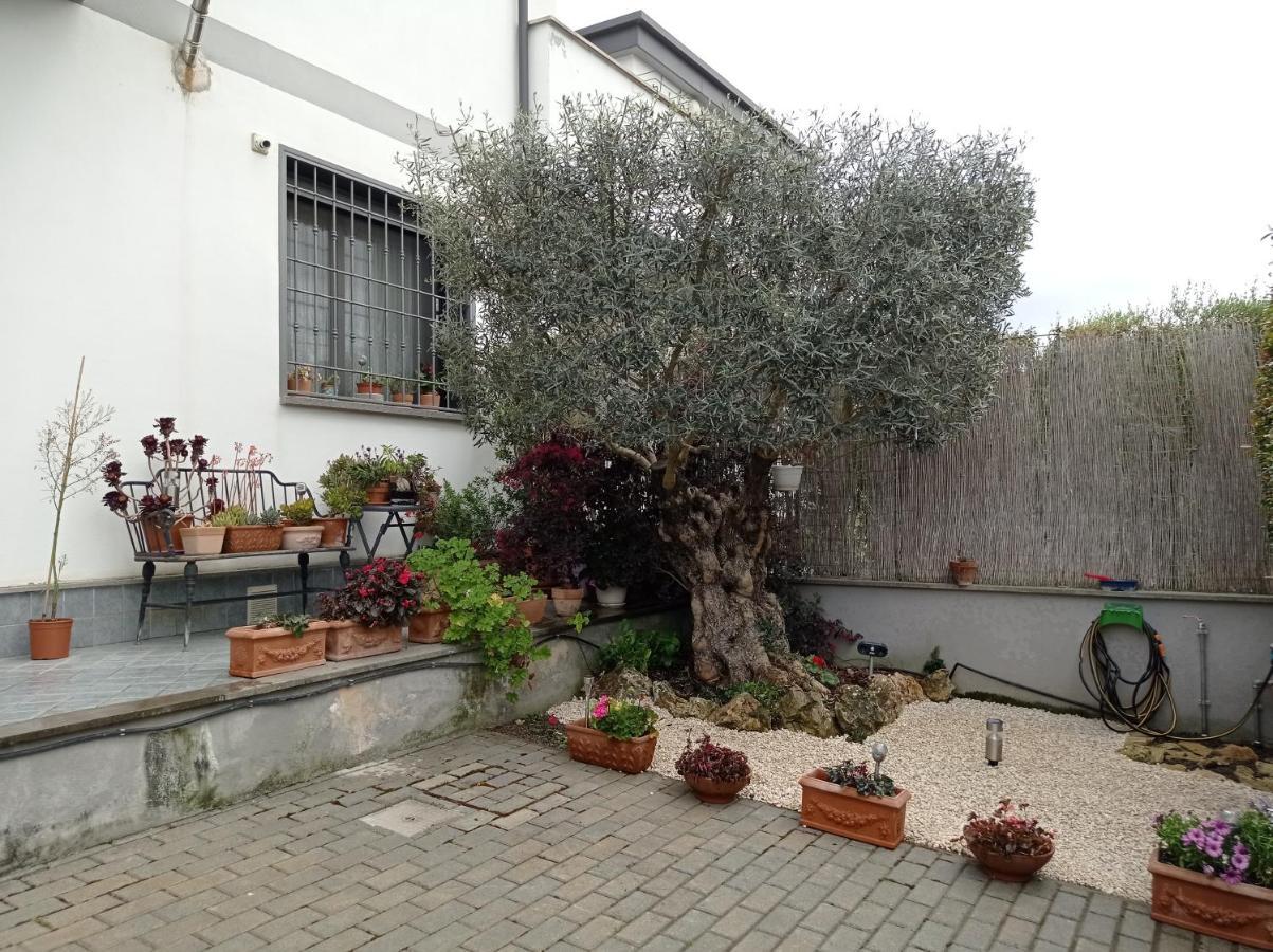 Villa Sogno Castel Fusano 외부 사진