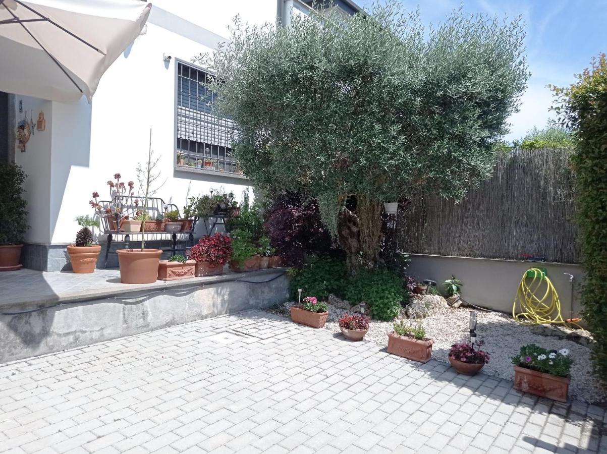 Villa Sogno Castel Fusano 외부 사진